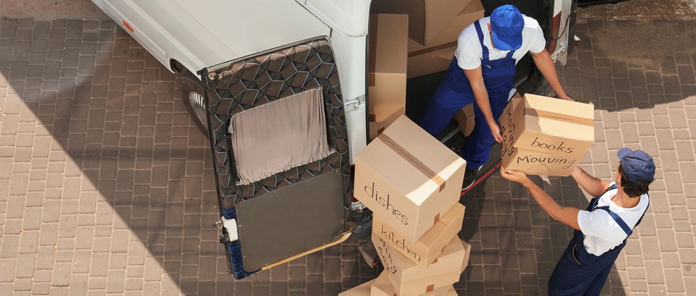 Wolfpack Movers