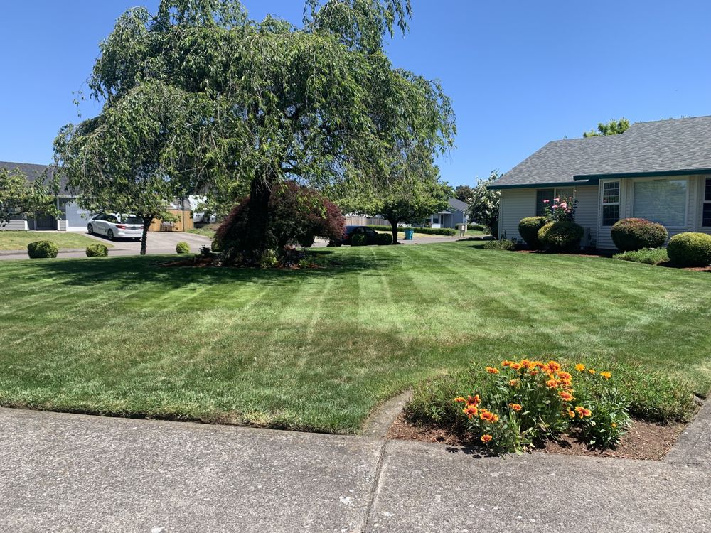 Daniel V Landscaping