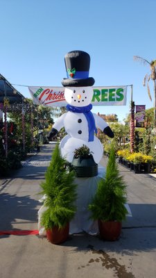 Summerwinds Nursery Tatum 17826 N Blvd Phoenix Az Nurseries Summerwinds Nursery Tatum 17826 N Blvd Phoenix Az Nurseries Mapquest