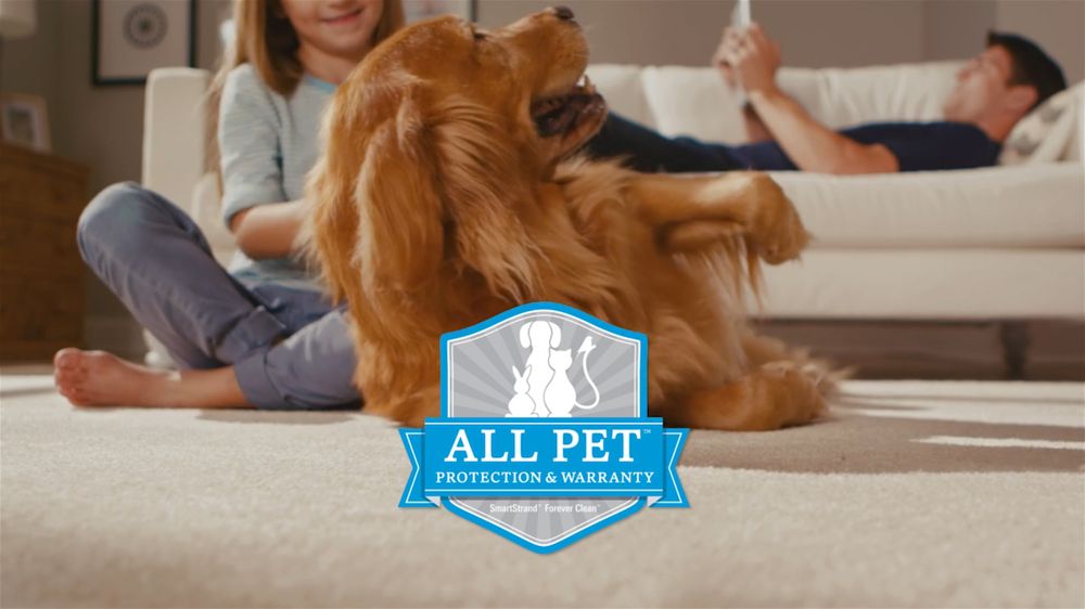 image of business Moorman