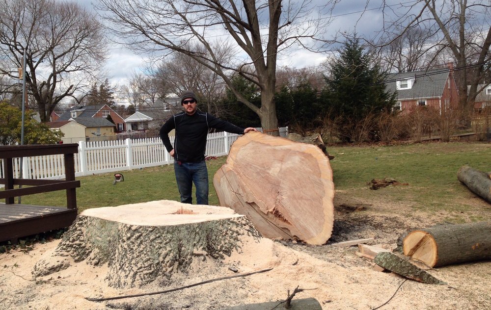 CPL Landscaping & Tree