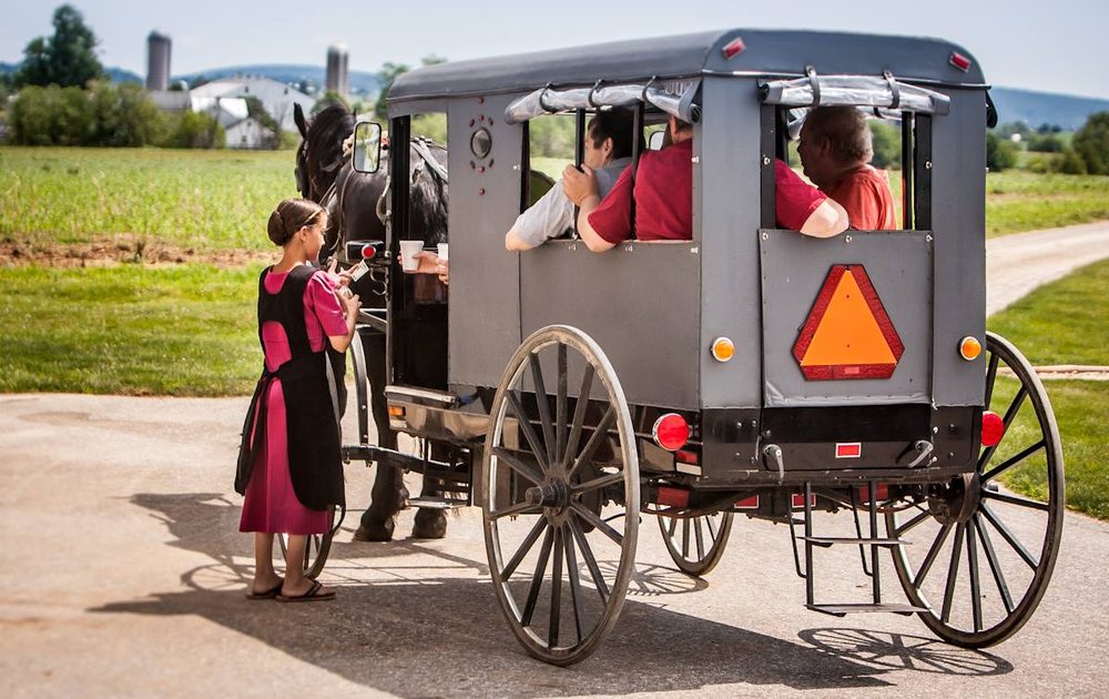 A is for Amish Buggy Rides 44 Photos & 17 Reviews Historical Tours 312 Paradise Ln, Ronks