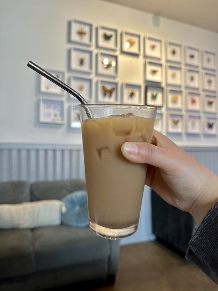 The Kava Bar 