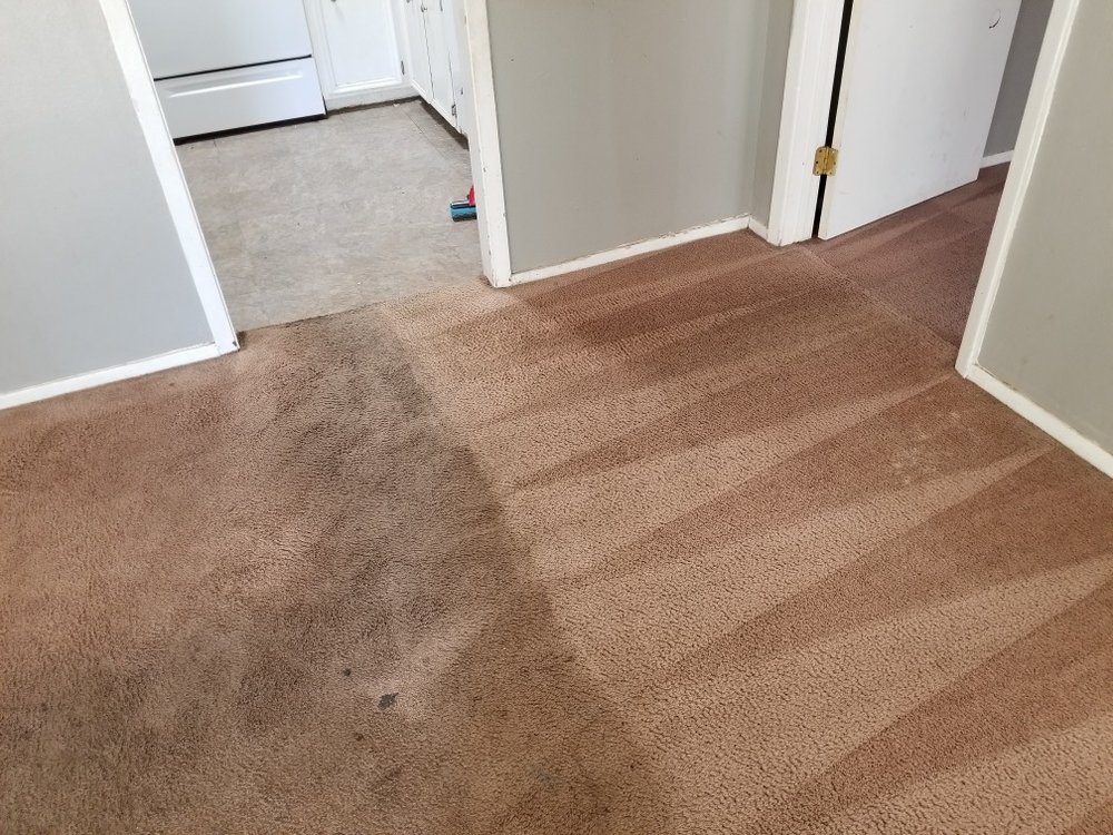 Refresh Carpet Cleaning