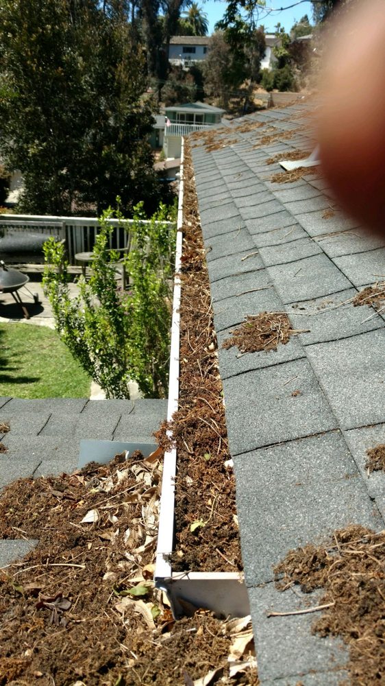 Any and All Rain Gutter Cleaners