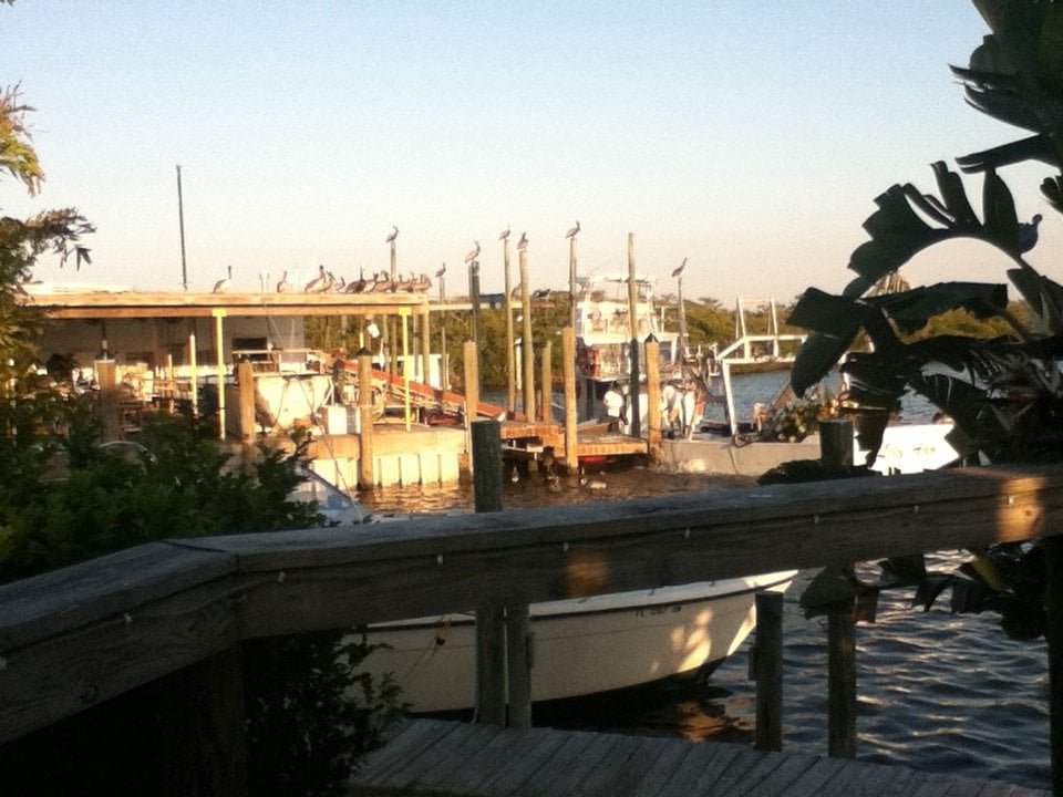 Bayside Banquet Hall 4628 119th St W, Bradenton, FL Phone Number Yelp