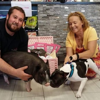 Pet Groomers In Boynton Beach Fl Pet Groomers In Boynton Beach Fl