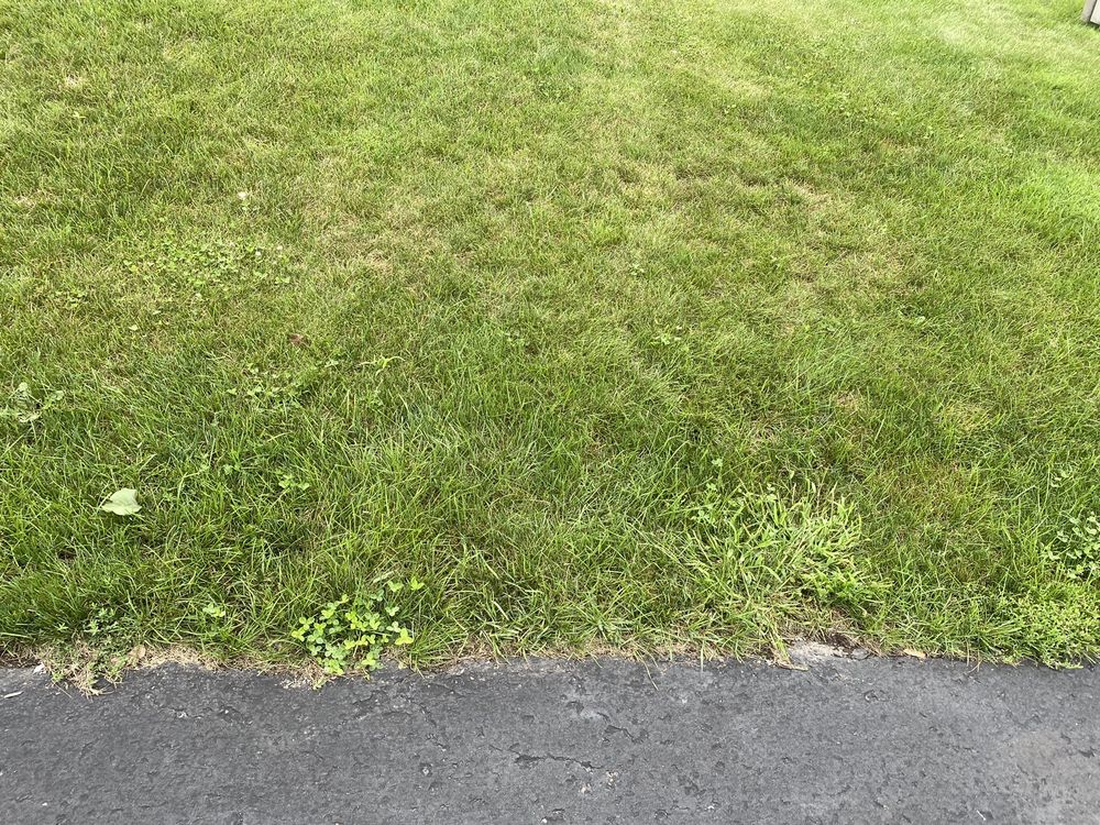 TruGreen Lawn Care