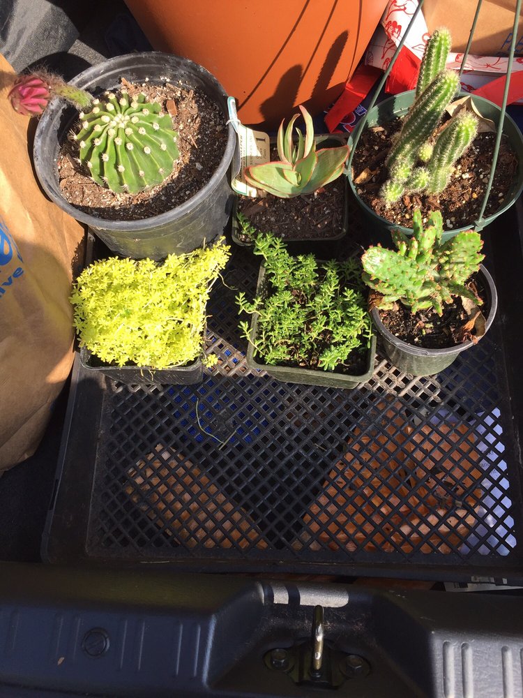 Ortega Nursery 35 Photos Nurseries & Gardening 30 Paulsen Rd