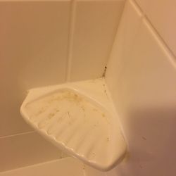 Residence Inn By Marriott Hotels 3020 Technology Pl Waldorf Photo Of Residence Inn By Marriott Waldorf Md United States Filthy Disgusting