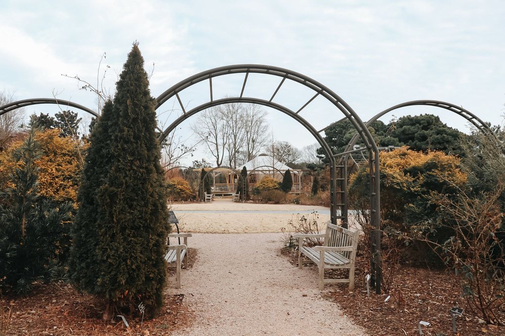 JC Raulston Arboretum