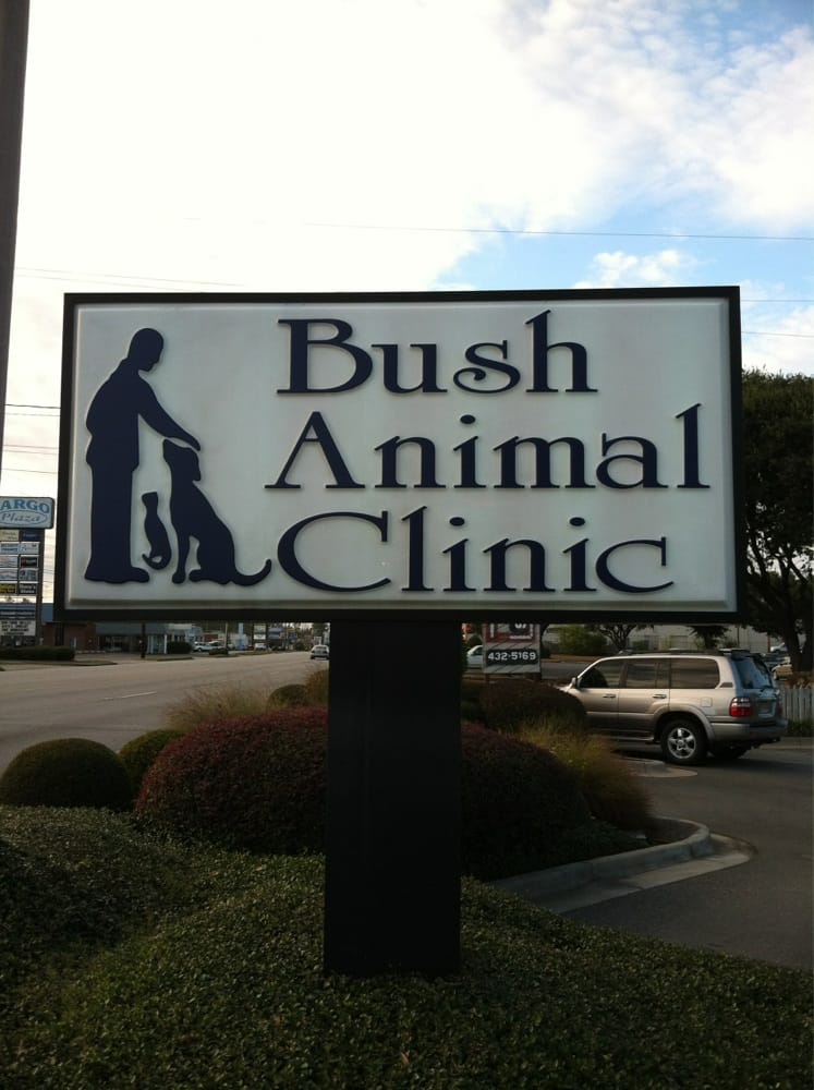 Bush Animal Clinic 22 Photos Veterinarians 2419 Dawson Rd, Albany
