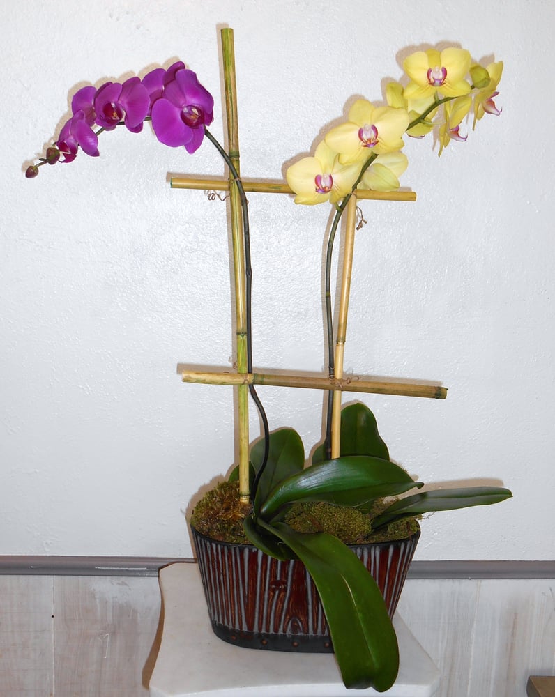 Petals & Stems Florist 36 Photos & 39 Reviews Florists 13319