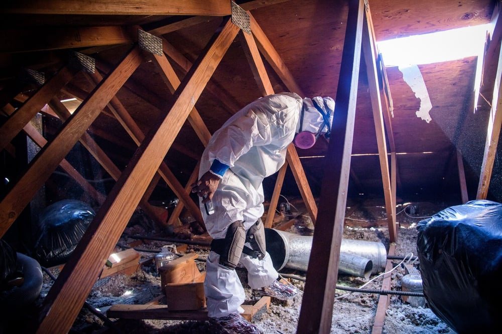 Attic Masters