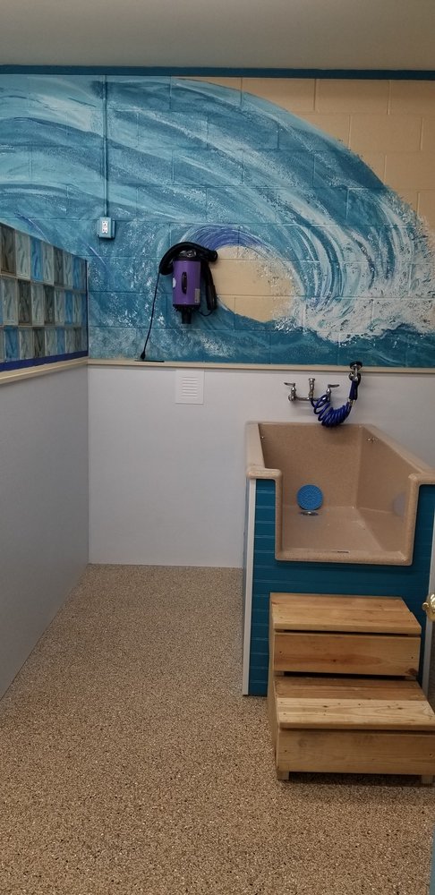 Beaufort Pet Provisions