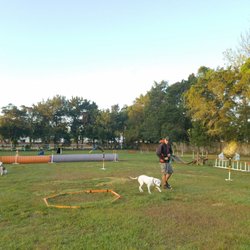 Natural Instinct Dog Training Apopka Natural Instinct Dog Training Apopka