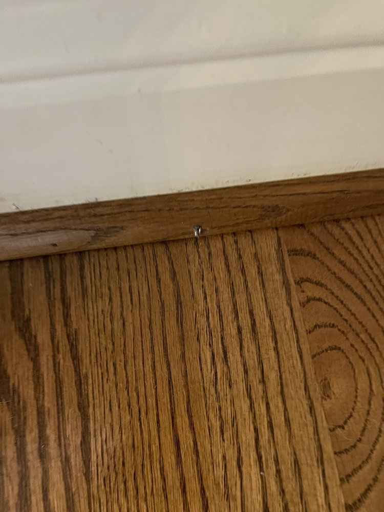 Adams Carpet One Floor & Home