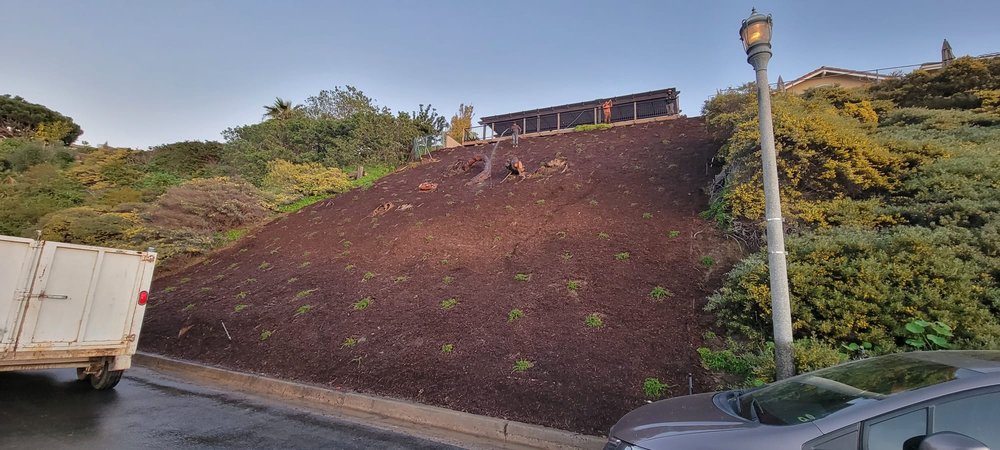 Mendoza's Landscaping