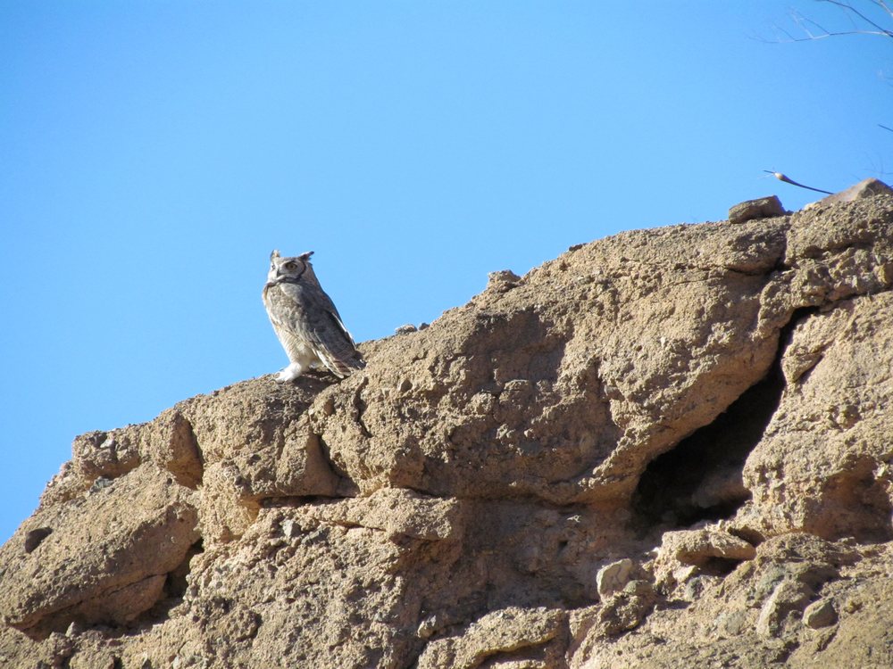 White Owl Canyon 39 Photos Hiking River Mountains Loop Trl