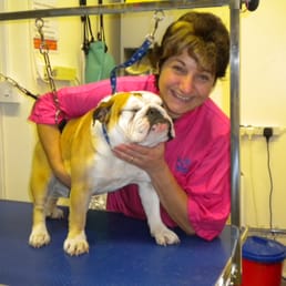 Dog Grooming Home Service Philippines Dog Grooming Home Service Philippines