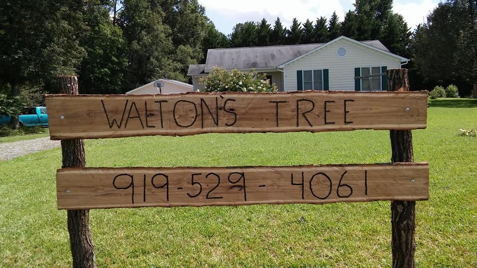 Waltons Tree and Landscape