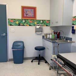 Night Owls May Face Special Challenges >> Night Owl Pediatrics 12 Photos 48 Reviews Pediatricians 425 Night Owls May Face Special Challenges >> Night Owl Pediatrics 12 Photos 48 Reviews Pediatricians 425