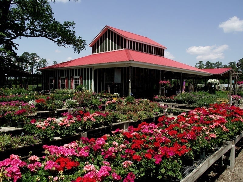 White’s Farm 13 Photos Farms 5200 US Hwy 17 N, Vanceboro, NC