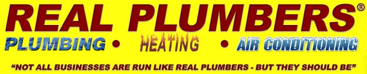 Real Plumbers
