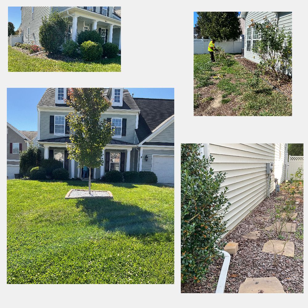 Alexscape Landscaping
