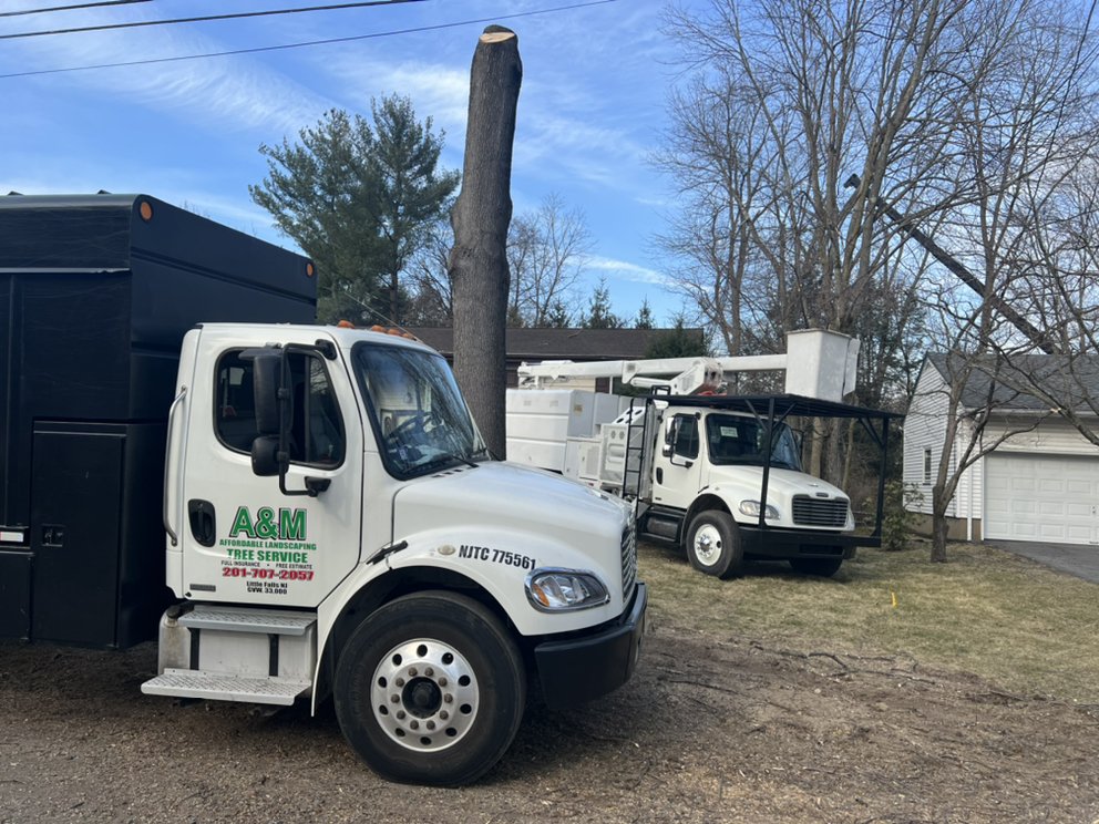 A&M Affordable Tree Service