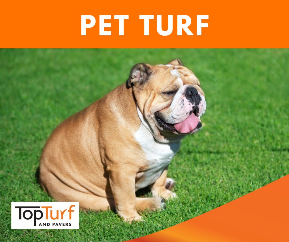 TopTurf and Pavers
