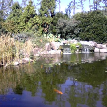 Kiefer Landscaping Nursery 37 Photos 11 Reviews Nurseries Photo Of Kiefer Landscaping Nursery Durham Nc United States