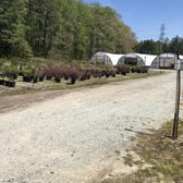 Red Mill Landscaping Nursery 49 Photos Nurseries Gardening Photo Of Red Mill Landscaping Nursery Durham Nc United States
