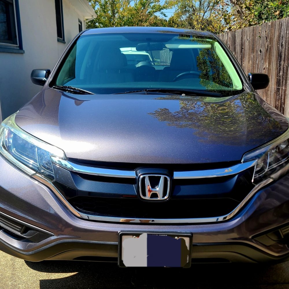 Luxury Auto Detail