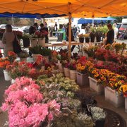 Photo of Alemany Farmers Market - San Francisco, CA, United States