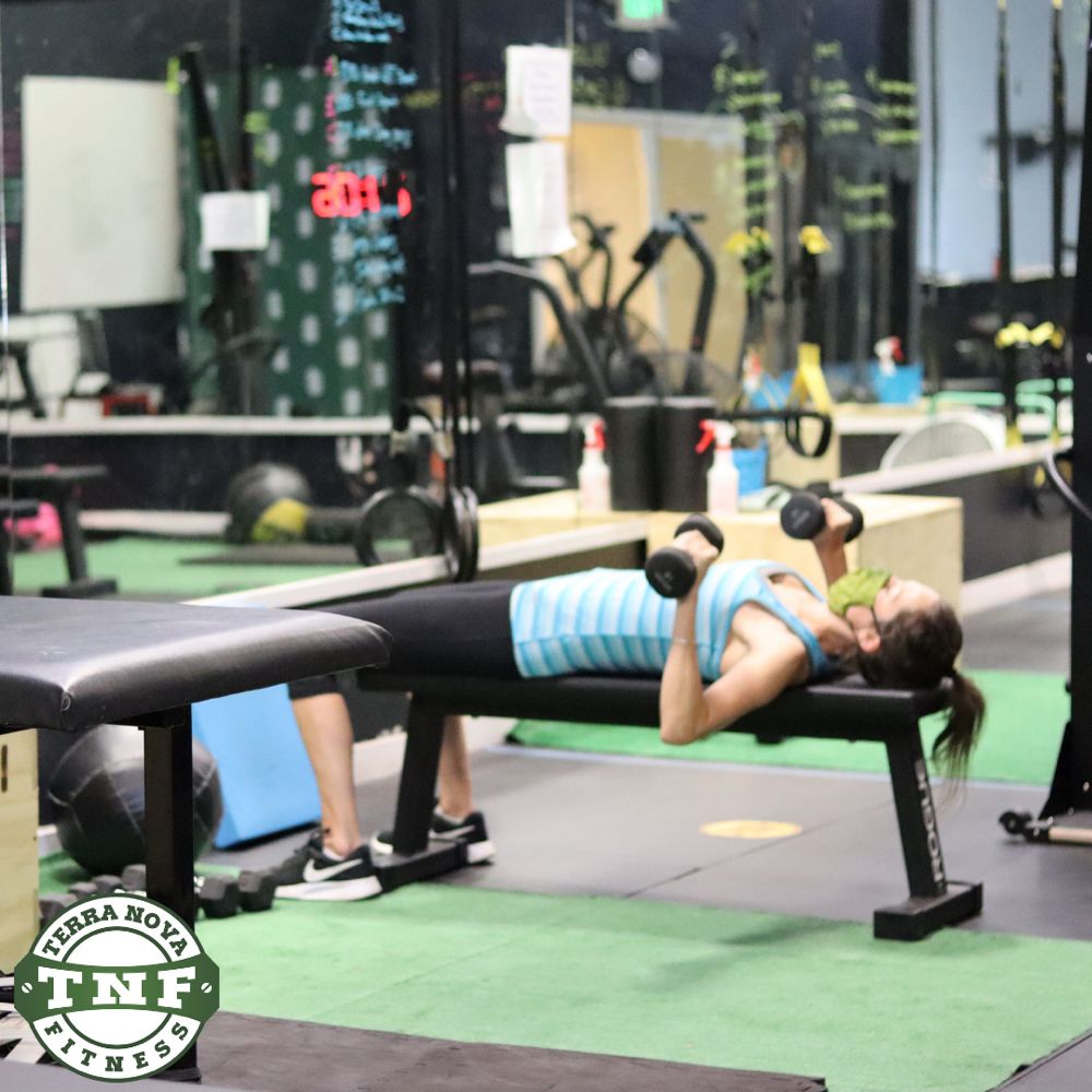 Terra Nova Fitness