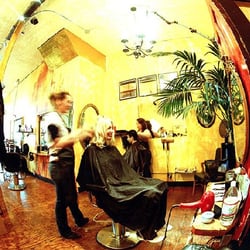 Zip Zap Hair 55 Photos 446 Reviews Hair Salons 245
