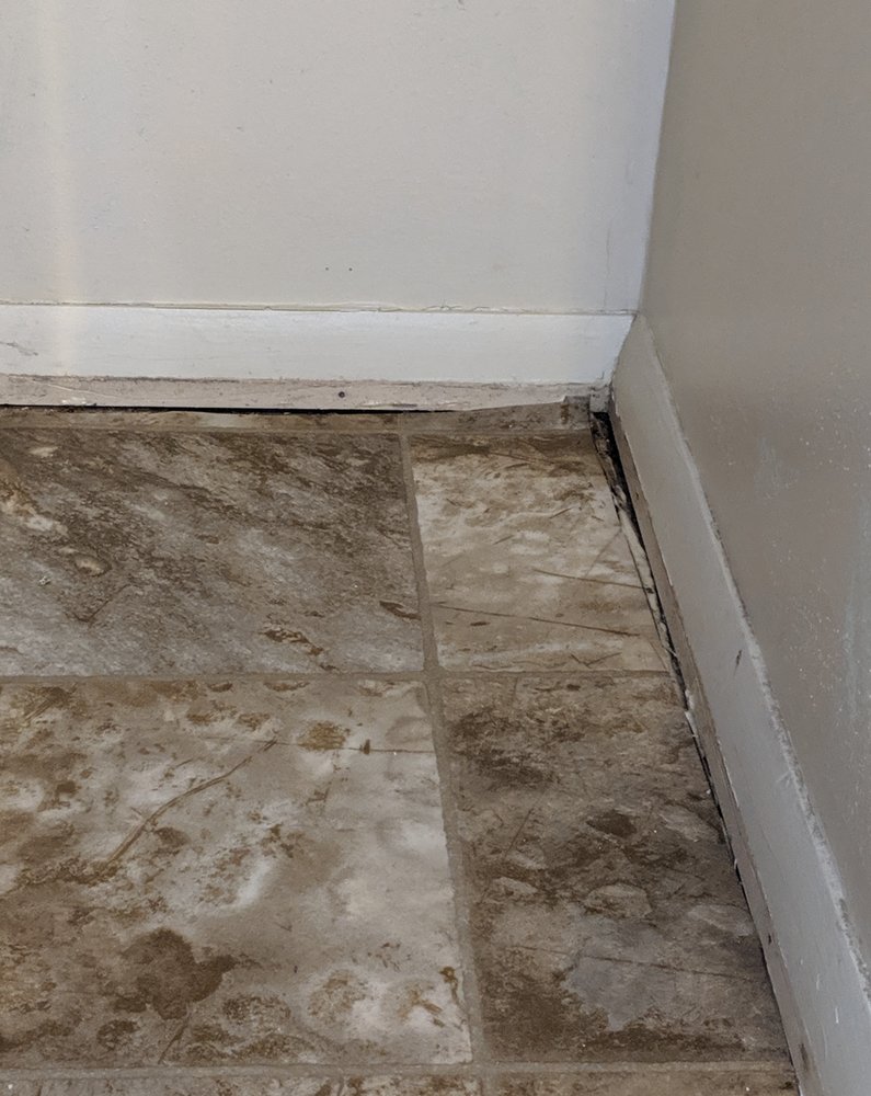 image of business RiteRug Flooring Outlet