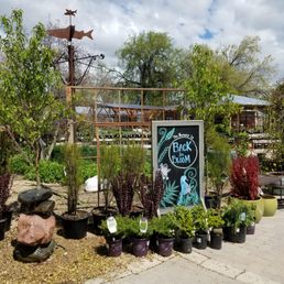 Garden Design Nursery photos for madeline george garden design, nursery & garden center Garden Design Nursery photos for madeline george garden design, nursery & garden center