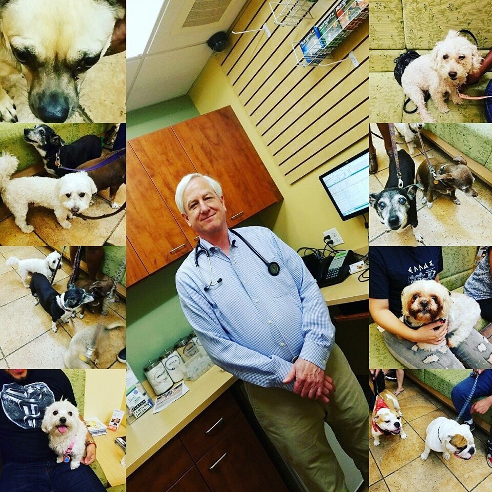 Bronx Veterinary Center 35 Photos & 79 Reviews Veterinarians 2460