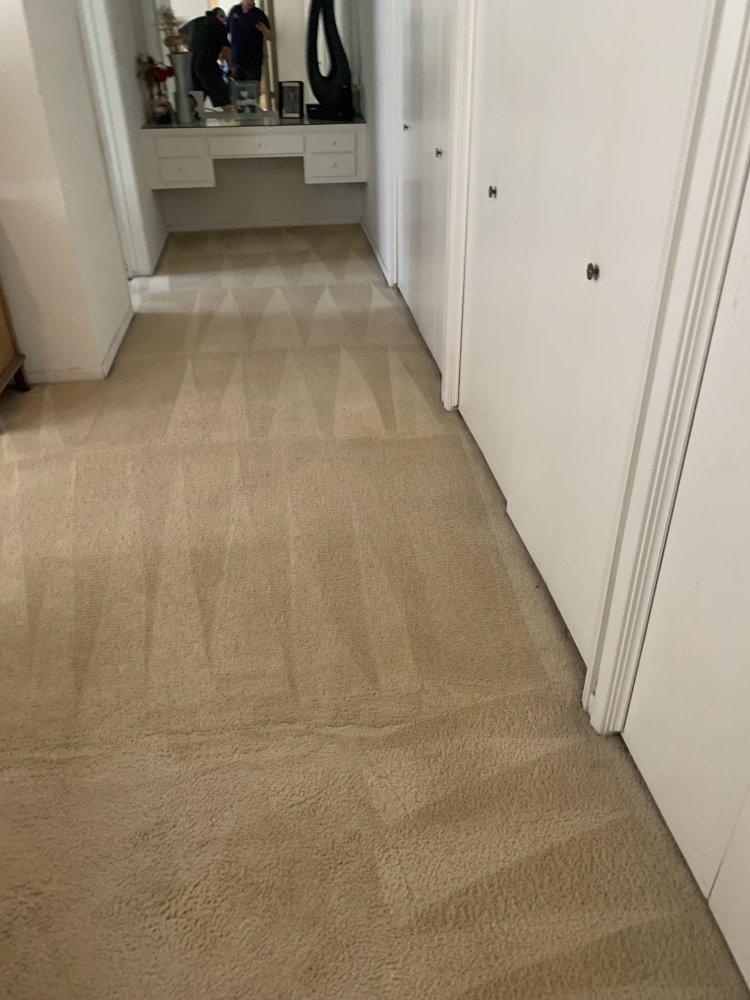 Edgardo's Carpet Cleaning