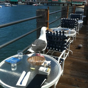 Armstrong S Fish Market Seafood Restaurant Closed 71 Photos Photo Of Armstrong S Fish Market Seafood Restaurant Avalon Ca United States