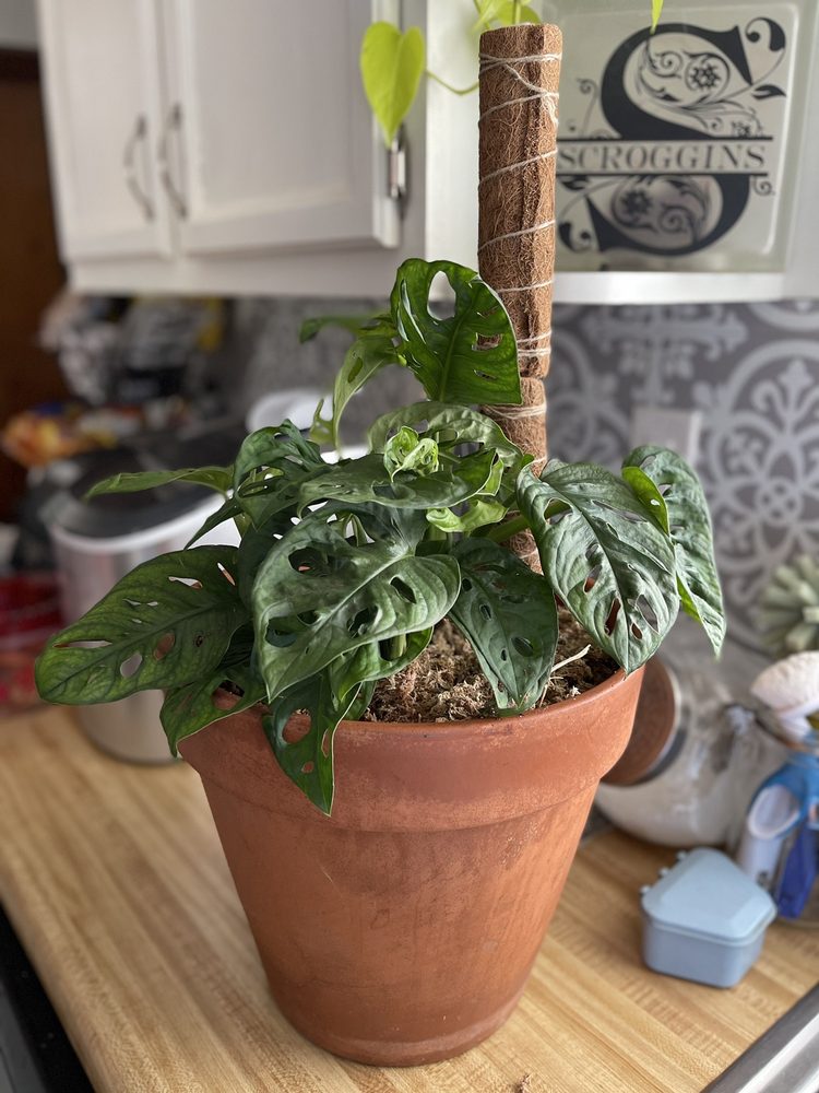 B.B. Barns The Garden Company