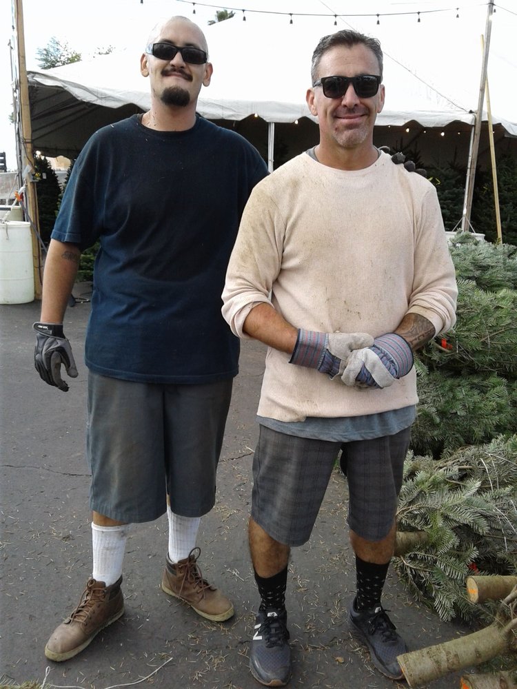 Valley View Christmas Trees