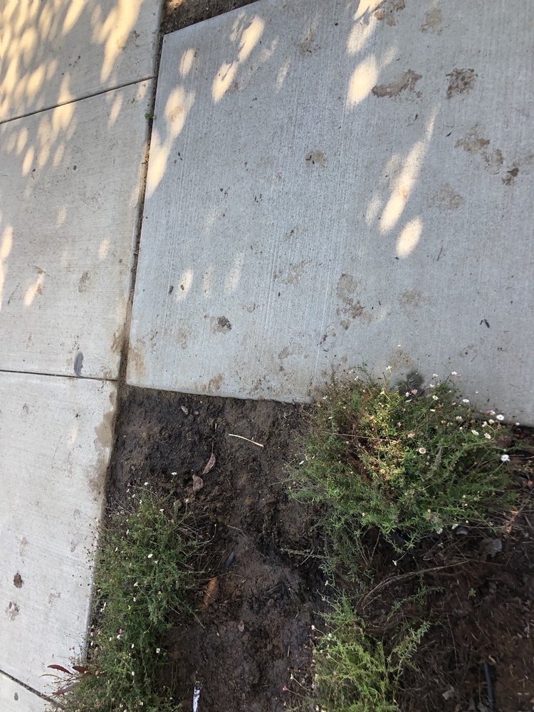 Smith & Enright Landscaping