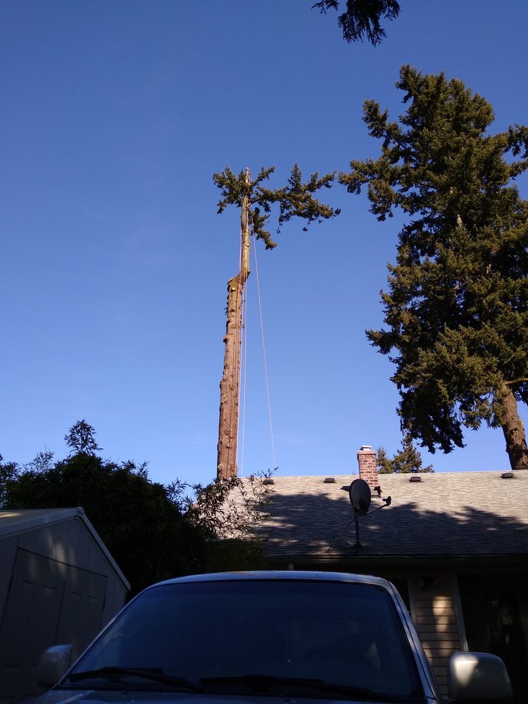 Green's Tree Service