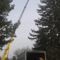 Atlas Tree Service Landscaping 4874 S 300th W Murray Salt Lake Photo Of Atlas Tree Service Salt Lake City Ut United States No