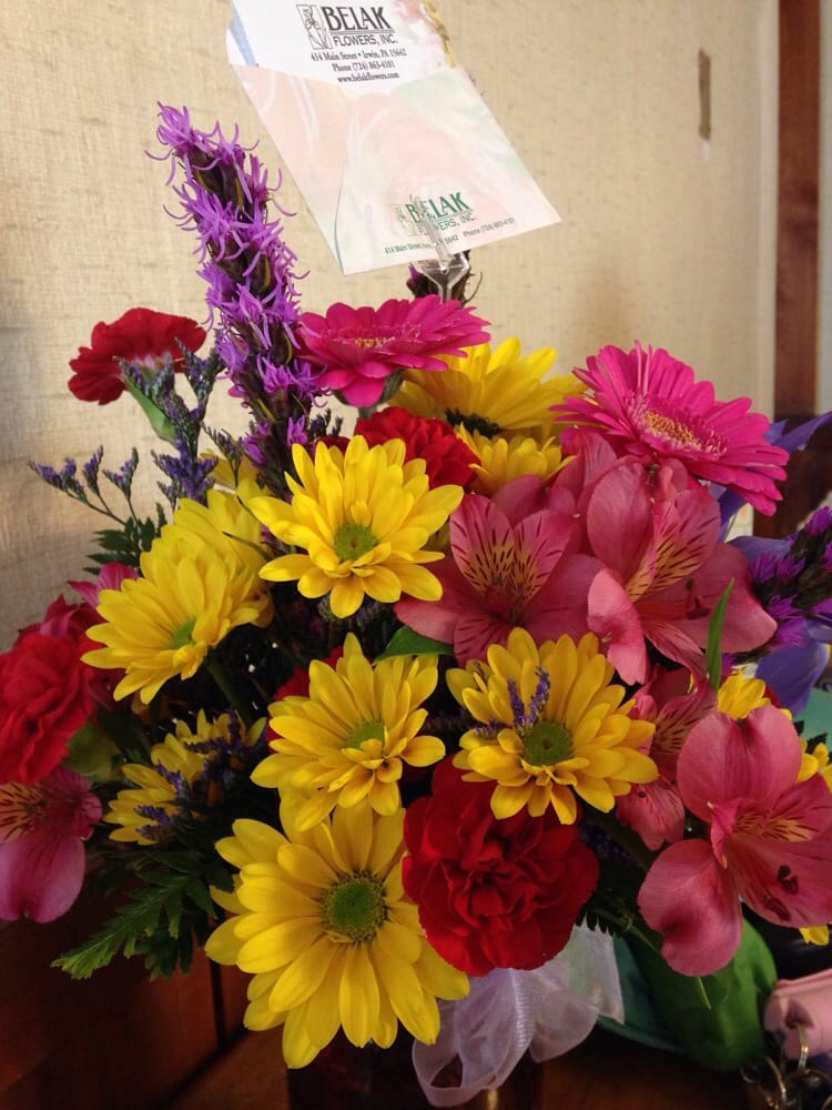 Belak Flowers 29 Photos Florists 414 Main St, Irwin, PA Phone