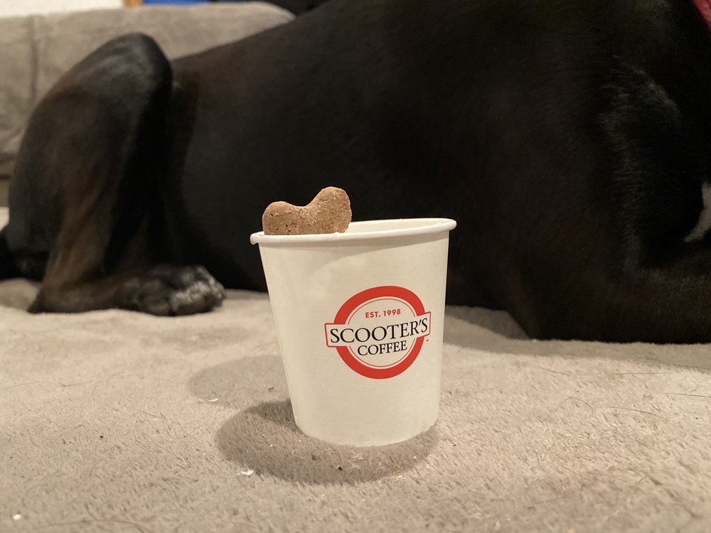 Scooter’s Coffee Scooter’s Coffee