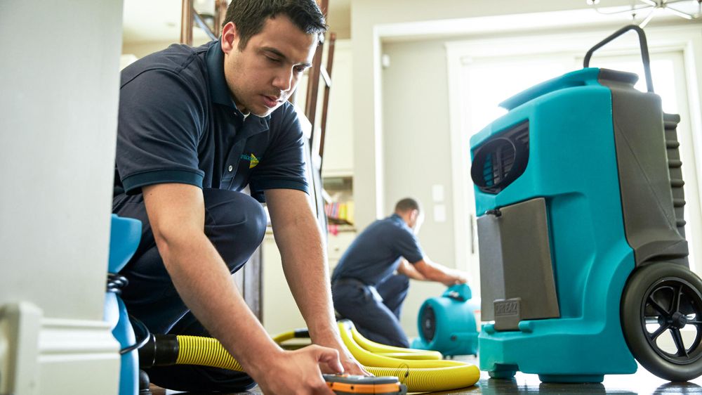 ServiceMaster Advanced Cleaning & Restoration - Fresno